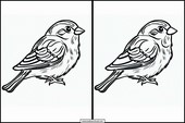 Sparrows - Animals 2