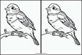 Sparrows - Animals 3