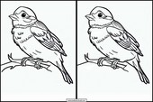 Sparrows - Animals 3