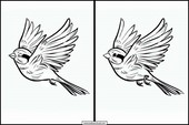Sparrows - Animals 4