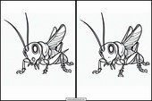 Crickets - Animals 3