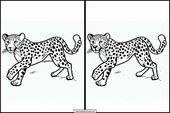 Geparden - Tiere 1