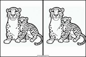 Cheetahs - Animals 3