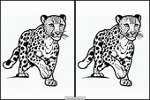 Gepard - Dyr 4