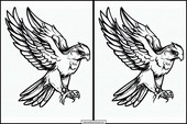 Falken - Tiere 1
