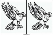 Halcones - Animales 1