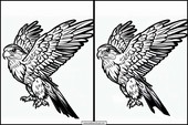 Falken - Tiere 3