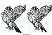 Halcones - Animales 3