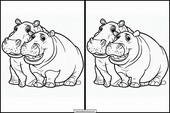 Hipopótamos - Animais 1