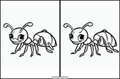 Ants - Animals 1