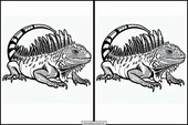 Iguanas - Animales 1