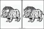 Wildschwein - Tiere 5