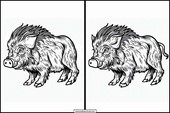 Wild Boar - Animals 5