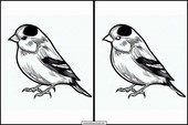 Goldfinches - Animals 1