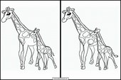 Giraffen - Tiere 4