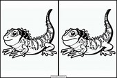 Lizards - Animals 3