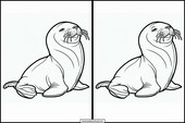 Sea Lions - Animals 1