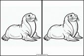 Leões-marinhos - Animais 2