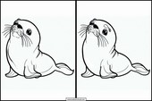 Sea Lions - Animals 3