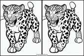 Leopardos - Animales 1