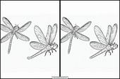 Dragonflies - Animals 6