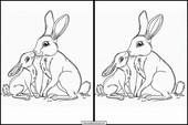 Hares - Animals 2
