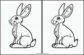 Hares - Animals 4