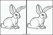 Hare - Dyr 5