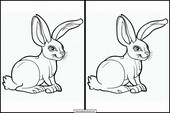 Hares - Animals 5