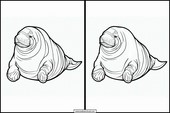 Manatees - Animals 2