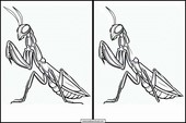 Praying Mantises - Animals 1