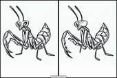 Mantis Religiosa - Animales 2