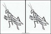 Mantis Religiosa - Animales 3