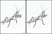 Stor gresshoppe - Dyr 5