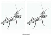 Praying Mantises - Animals 5
