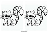 Raccoons - Animals 5