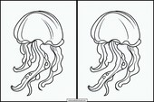 Jellyfish - Animals 1