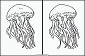 Jellyfish - Animals 3