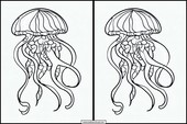Jellyfish - Animals 4