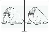 Walruses - Animals 1