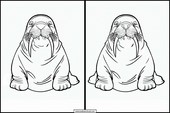 Walruses - Animals 2