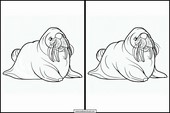 Walruses - Animals 4