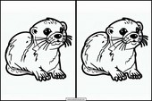 Otters - Animals 3