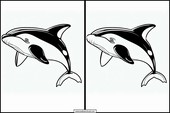 Orcas - Animais 1