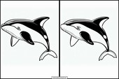 Orcas - Tiere 1