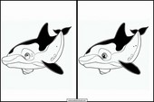 Orcas - Animais 3