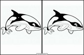 Orcas - Animales 4