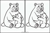 Bears - Animals 6