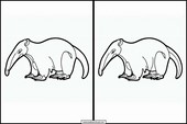 Anteaters - Animals 1