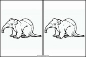 Anteaters - Animals 3